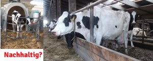 nachhaltigkeit