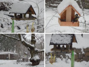 Veganer Garten im Winter