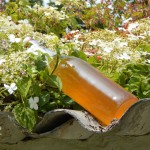 Holunderblütensirup ( im Hintergrund Hortensie )