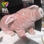 13177872_1555626988066050_525509767155851267_n