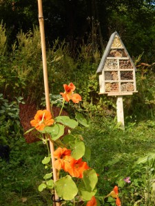 Insektenhotel steht01bvl