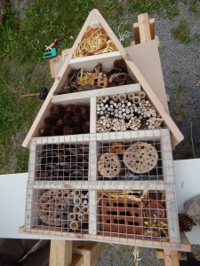 insektenhotel wird gefüllt05ffbvl