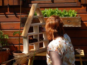 insektenhotel wird gefüllt101bvl